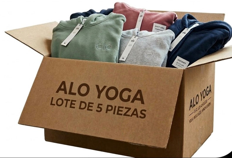 LOTE 5 HOODIES ALO YOGA